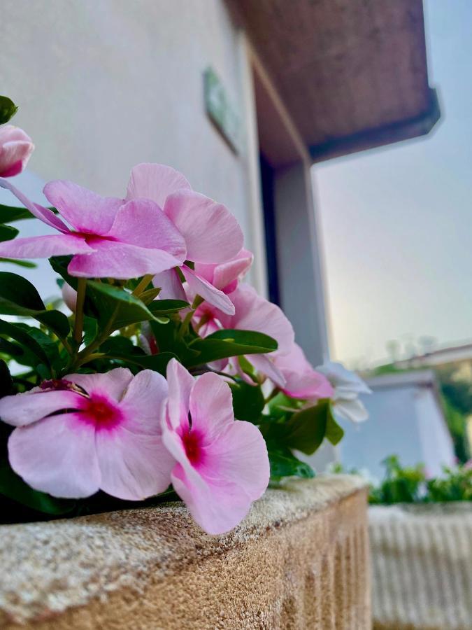 Casa Rachele Apartment باردولينو المظهر الخارجي الصورة